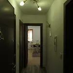 Willy Villy's Home- * Tsjepelare