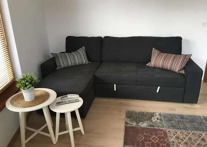 Апартаменты Willy Villy's Home- Чепеларе